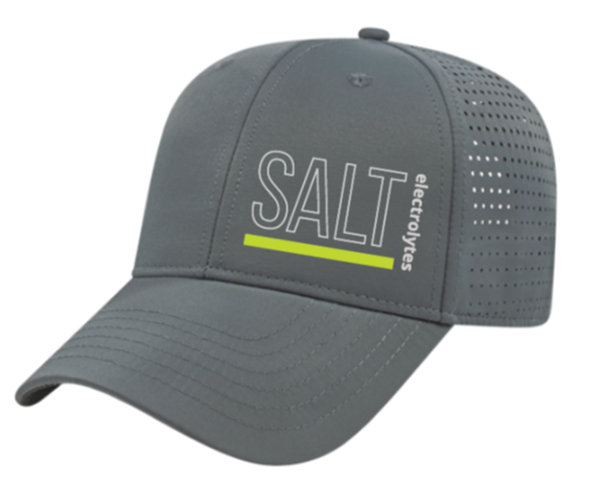 
                  
                    SALT Logo Hat
                  
                